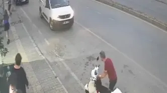 مردی که به گربه لگد زد، بازداشت شد