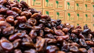 لغو ممنوعیت صادرات خرما
