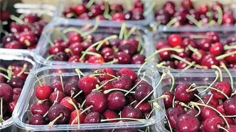 قیمت انگور و گیلاس به سقف چسبید!