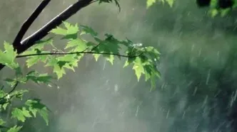 هواشناسی هشدار داد/ پیش بینی رگبار تابستانه در این استان‌ها