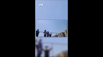 کالبدشکافی شیدایی از مرتضی پاشایی تا نیما تکیدو/ جامعه‌شناسی یک هواداری بی‌قرار