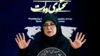واکنش سخنگوی دولت به برخی اقدامات وحدت‌شکنانه روزهای اخیر