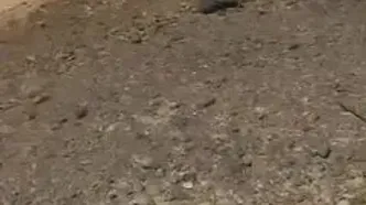 لاشه پهپاد منهدم شده آمریکایی در دهلران