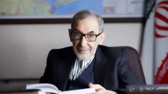 ولایتی: هیات صد نفره دانشمندان و استادان برجسته دانشگاه آزاد به یمن اعزام می شوند