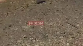 انهدام پهپاد MQ۹ در دهلران