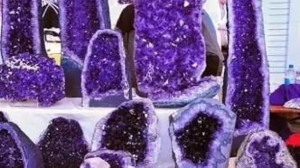 گنجینه بنفش و نایاب سیبری+ فیلم