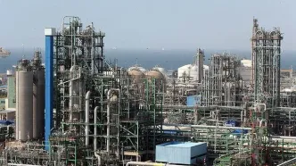 سرپرست شرکت بازرگانی نفت ایران منصوب شد