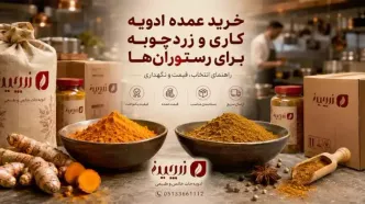 راهنمای انتخاب ادویه کاری و زردچوبه برای رستوران‌ها | از نمونه تا نگهداری