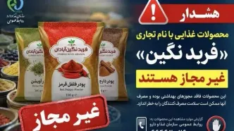پودرهای ادویه و فرآورده های غذایی با نام تجاری «فربد نگین » غیرمجاز هستند