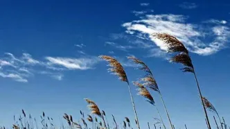 پیش بینی وضعیت آب و هوا فردا دوشنبه ۲۲ تیر ۱۴۰۵ اعلام شد
