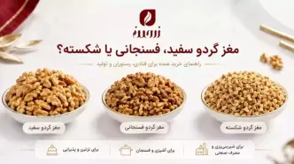 راهنمای خرید مغز گردو عمده؛ سفید، فسنجانی یا شکسته؟
