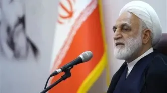 اژه‌ای: هرگونه تجسس خودسرانه و مداخله غیرقانونی در زندگی شخصی مردم ممنوع است