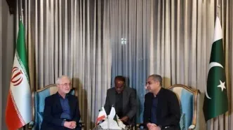 وزیر کشور وارد اسلام آباد شد