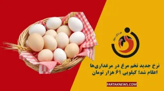 قیمت تخم‌مرغ تغییر کرد/ گران‌تر شد؟