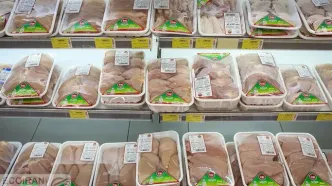 خبر مهم از بازار مرغ/ گرانی دوباره در راه است؟