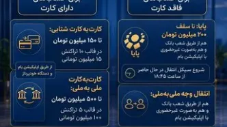 اینفوگرافیک روش های فعلی انتقال وجه بانک ملی ایران