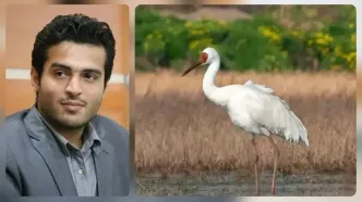 مرگ «رویا»؛ کالبدشکافی یک شکست در حفاظت از حیات‌ وحش ایران/ هشدار برای یوز، میش‌مرغ ،خرس بلوچی، اردک سرسفید و مرمری