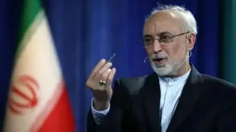 چاقویی که ظاهرا آمریکا برای ایران تیز می‌کند در حقیقت برای چین و روسیه است/ اگر به اذن خدا ایران با دست برتر از تنش با آمریکا خارج شود، می‌توان‌ گفت‌ که‌ پکن و مسکو بطور مجانی بهره‌ای بزرگ و باورنکردنی از این ماجرا خواهند برد