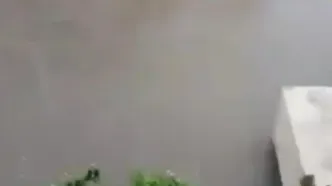 شهر والساد هند زیر آب رفت