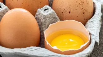 قیمت جدید تخم مرغ چقدر است؟