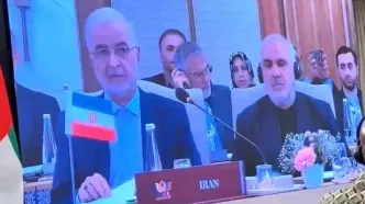 وزیر کشور:صدای واحد و قاطع بریکس در دفاع از حقوق بین‌الملل پیام مهمی برای جامعه جهانی دارد