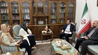 دیدار هماهنگ‌کننده مقیم سازمان ملل متحد در تهران با غریب آبادی