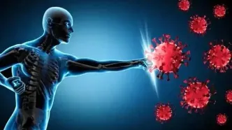 چرا بعضی‌ها هیچ‌وقت بیمار نمی‌شوند؟ | راز سیستم ایمنی قوی فقط شانس نیست