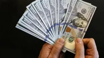 پشت‌پرده گرانی دلار؛ از تورم و نقدینگی تا جنگ