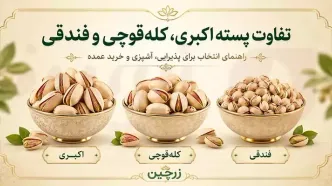 تفاوت پسته اکبری، کله‌قوچی و فندقی؛ برای مهمانی، شیرینی‌پزی یا خرید عمده؟