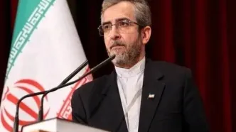علی باقری: پیام پرچم‌های سرخ خون‌خواهی واضح است