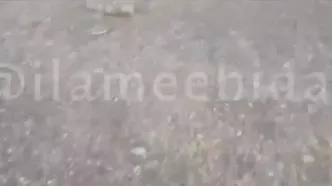 کشف لاشه پهپاد MQ۹ ‌آمریکایی در دهلران‌
