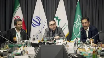 حوزه انیمیشن دارای ظرفیت استفاده از مزایای اقتصادی صادرات است