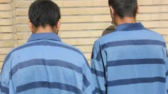 ضربه پلیس به سارقان در بناب؛ کشف خودروی سرقتی و احشام مسروقه