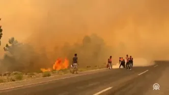آتش سوزی گسترده جنگلی در جنوب غرب ترکیه