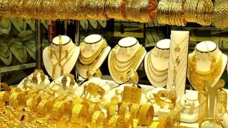 طلا خیز برداشت
