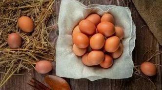 رکورد جدید قیمت تخم‌مرغ در تهران