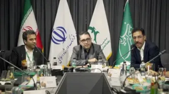 حوزه انیمیشن دارای ظرفیت استفاده از مزایای اقتصادی صادرات است