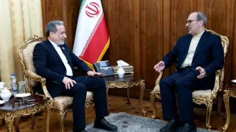 دیدارهای جداگانه عراقچی با سفیران ایران در اتریش و صربستان