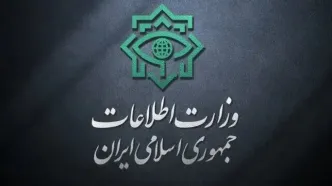 تصویب اعمال حبس برای همکاری علمی با دانشگاه‌های خارج از تایید وزارت اطلاعات تکذیب شد