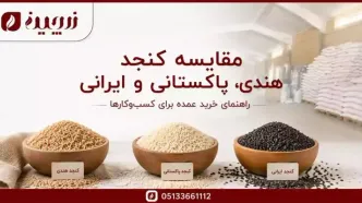 مقایسه کنجد هندی، پاکستانی و ایرانی برای خرید عمده؛ کدام برای کسب‌وکار شما مناسب‌تر است؟