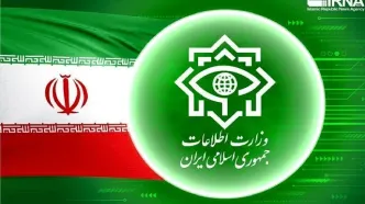 وزارت اطلاعات ایران: فرانسه باید به مداخلات دیپلماتیک خود پاسخ دهد