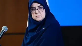 مهاجرانی: شرط تداوم یارانه نقدی و کالابرگ اقامت در ایران است