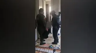 ویدئو؛  لحظه خلع سلاح گروگانیگر خیابان ولیعصر توسط پلیس نوپو