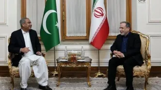 وزیر کشور پاکستان وارد تهران شد