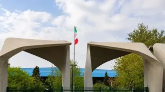 رئیس دانشگاه تهران: گشت حجاب نخواهیم داشت