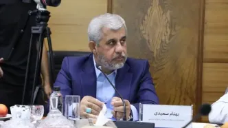 بهنام سعیدی: سرمایه‌گذاری‌های گروه مالی گردشگری آینده توسعه و اشتغال کرمان را تضمین می‌کند