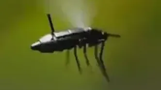 رونمایی چین از پهپادی به اندازه پشه