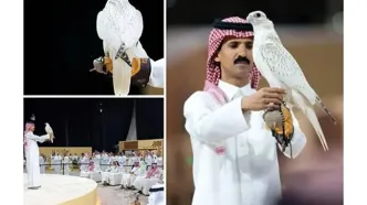 این پرنده با قیمت ۶۴ میلیارد تومان فروخته شد!