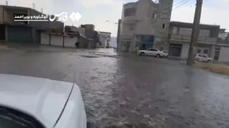 ویدئو؛ خیابان‌های یاسوج از باران تابستانی تر شد