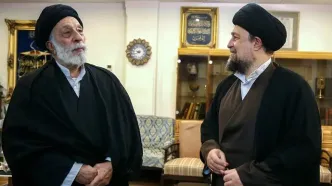 سید حسن خمینی با سید هادی خامنه‌ای دیدار  کرد/ تصاویر